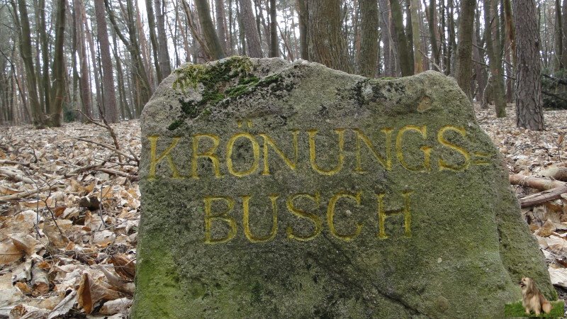 Ritterstein Nr. 016-1 Krönungsbusch.JPG - Ritterstein Nr.16 Krönungsbusch